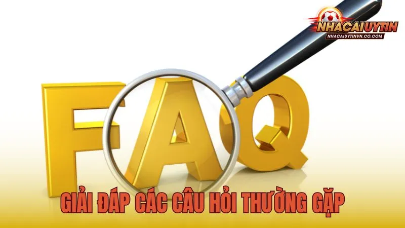 Giải đáp các câu hỏi thường gặp tại trang Nhà Cái Uy Tín