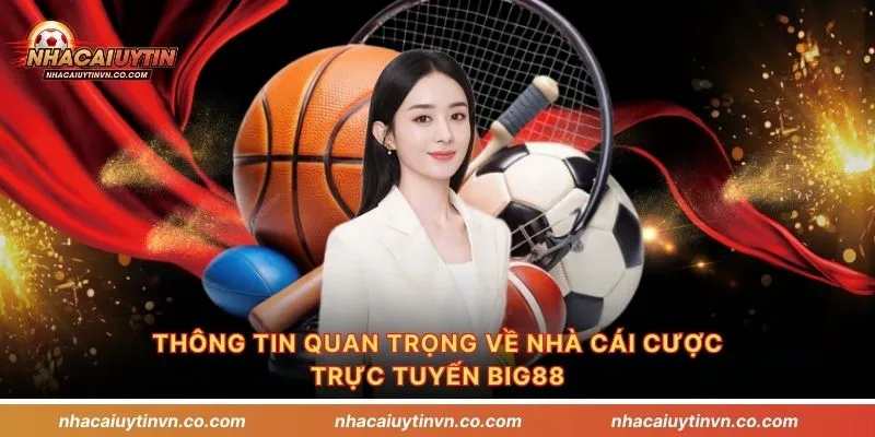 Thông tin quan trọng về nhà cái cược trực tuyến Big88